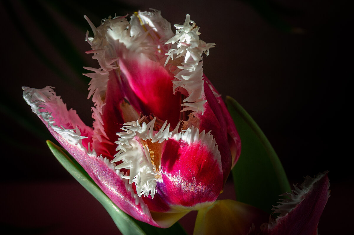 *** - Виктор Иванович Чернюк