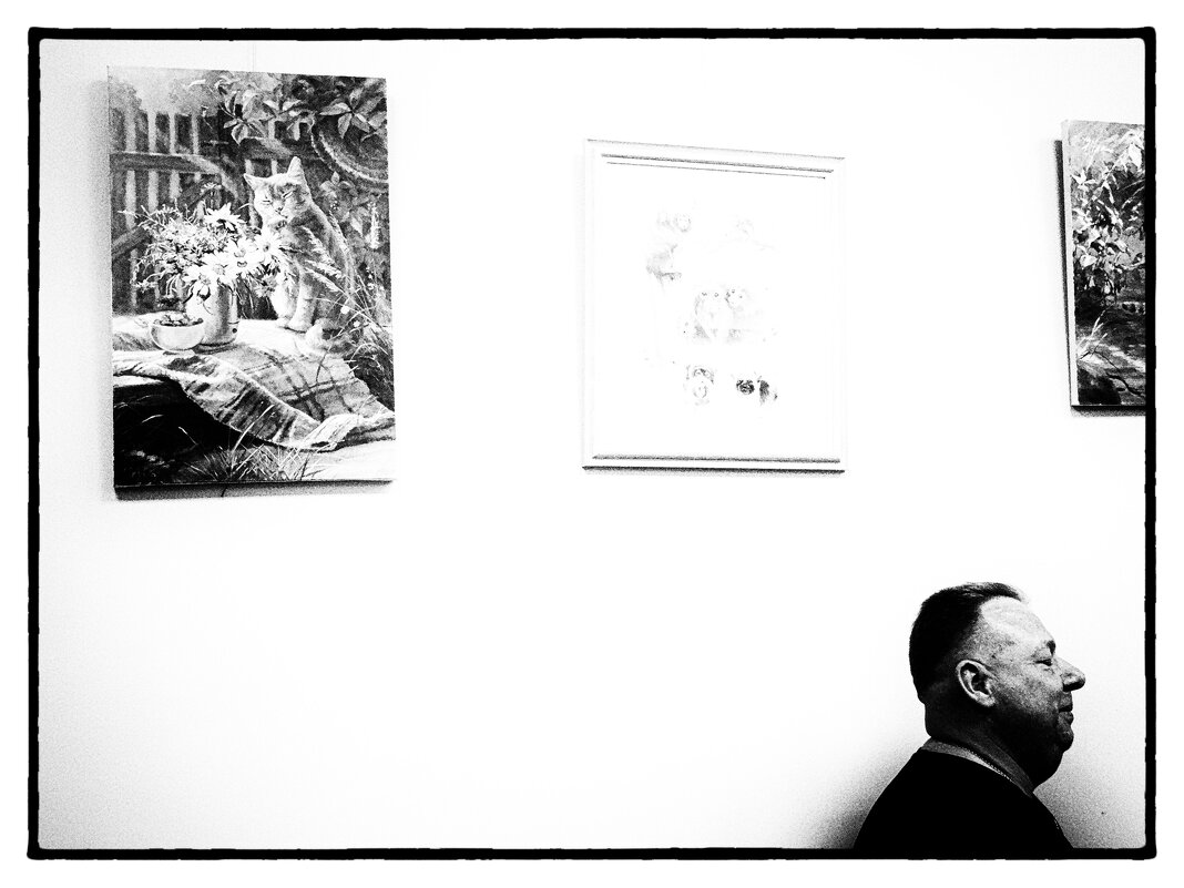 El sueño de la razón produce gatitas - Maria Rainer