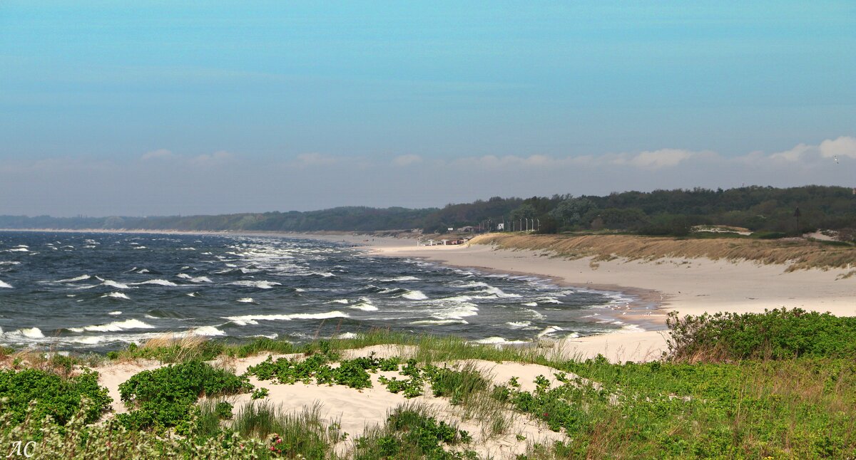 Три стихии - Любовь Сахарова