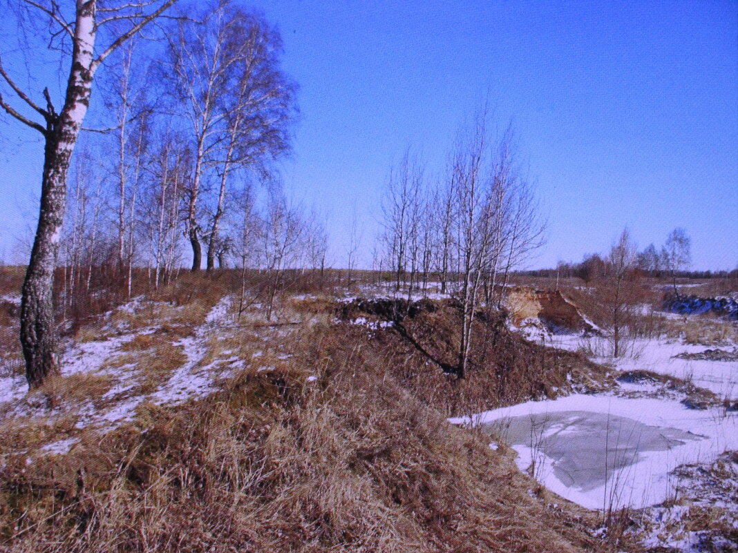Красота марта - Людмила Смородинская