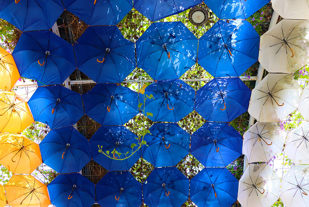 Зонтики в интерьере парка цветов - Галина Ильясова