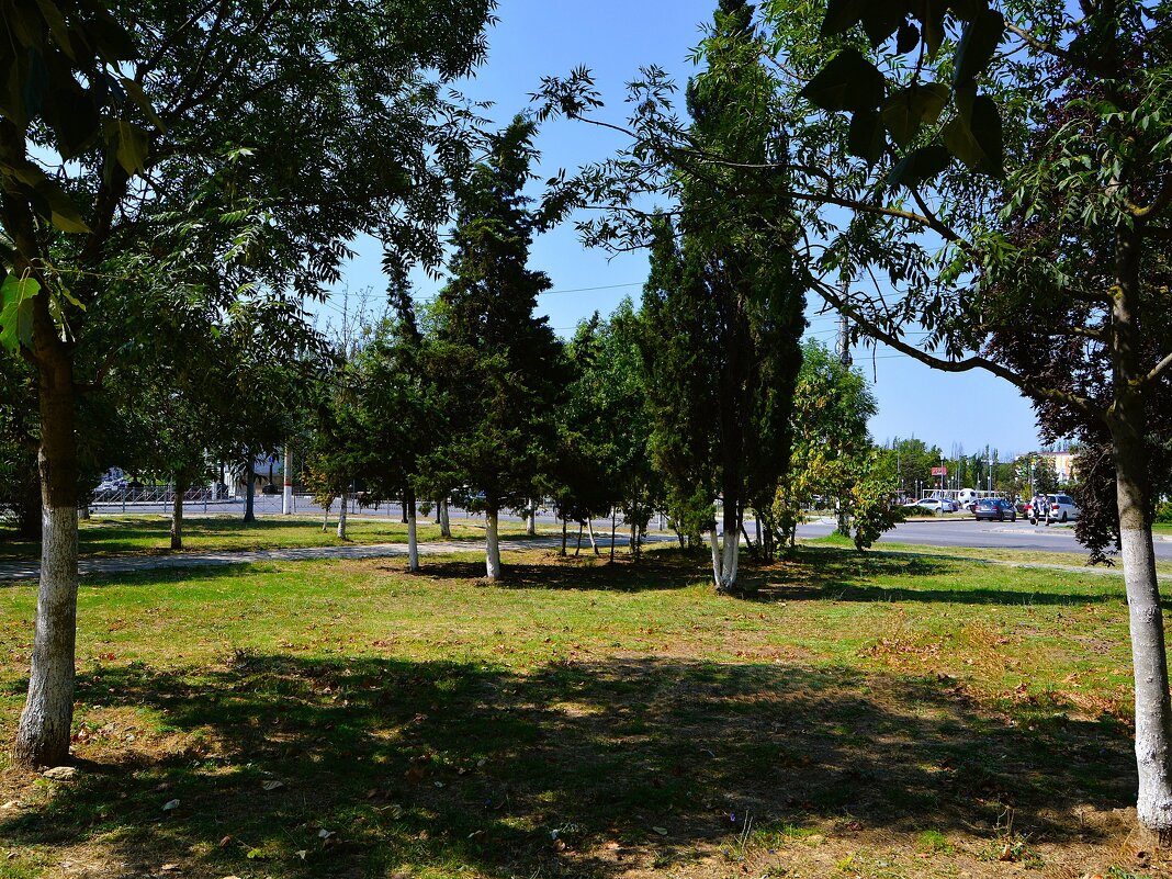 Керчь. Сквер "Крымэнерго" летом. - Пётр Чернега