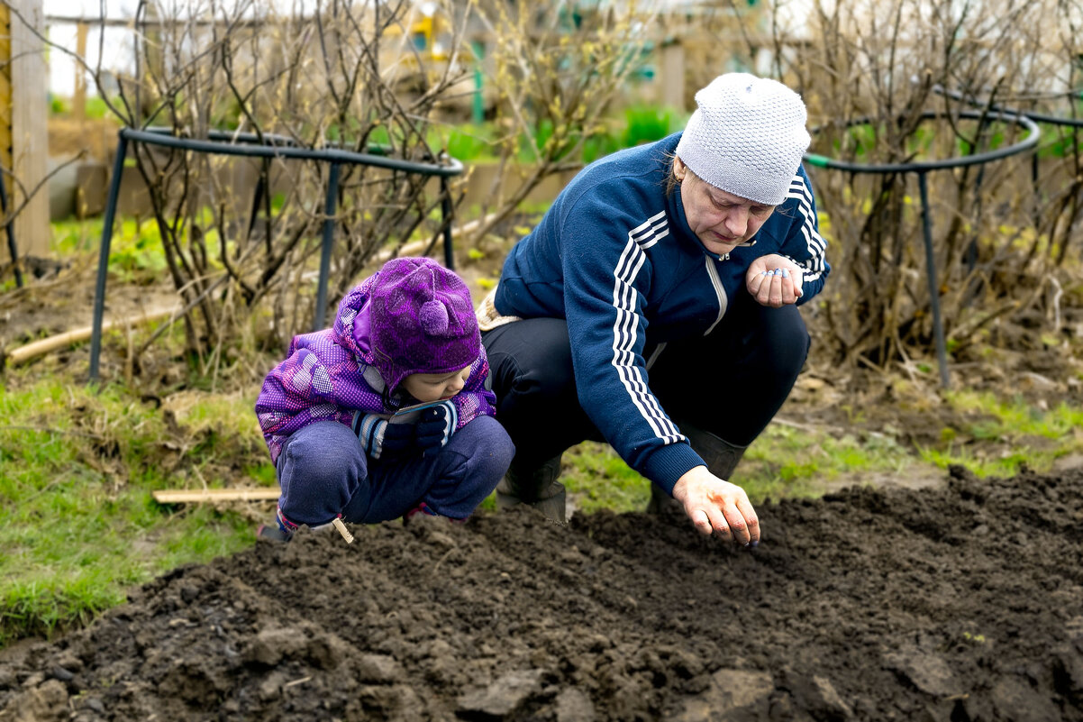 Передача опыта - Александр Силинский
