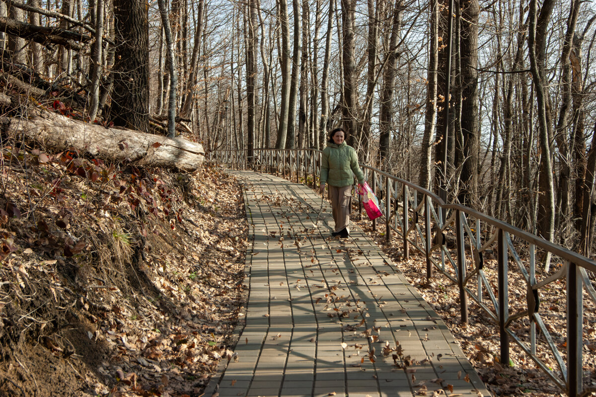 Весной можно и горы прогуляться - Игорь Сикорский