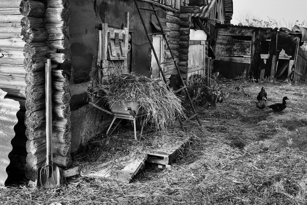 Подсобное хозяйство - Владимир Гришин