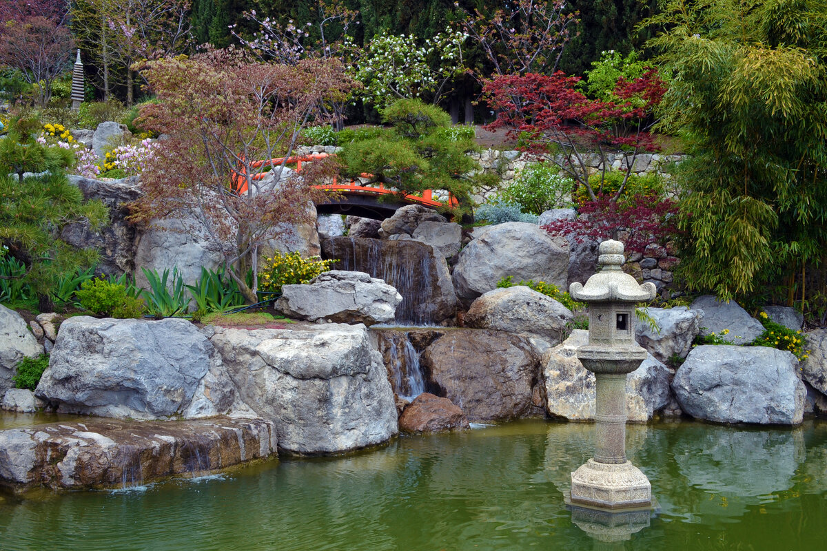 весна в японском саду - Ольга 