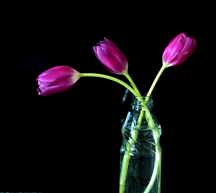 Остатки былой красоты... - Светлана 