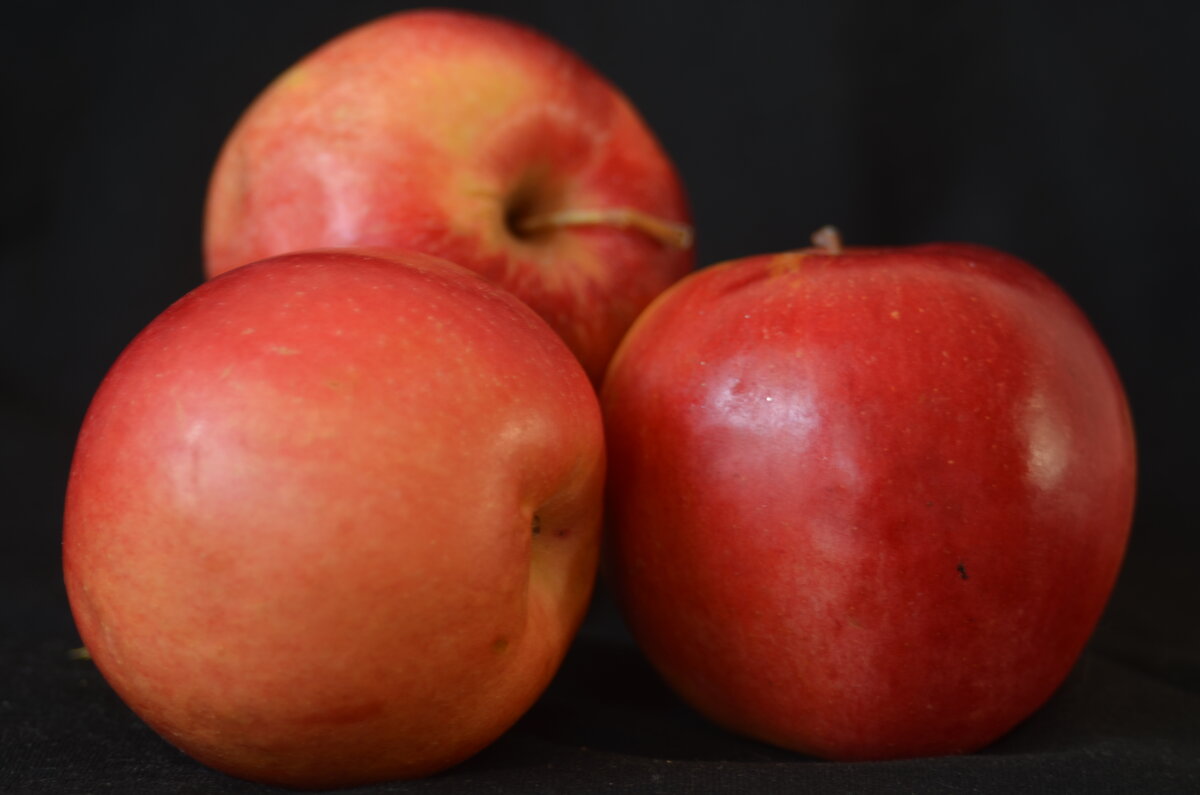 . - Дмитрий Шароватов