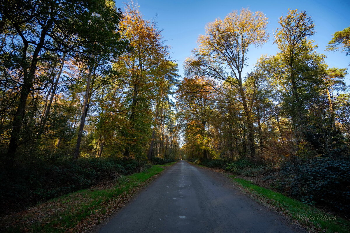 Дорога дальняя... - Николай Гирш