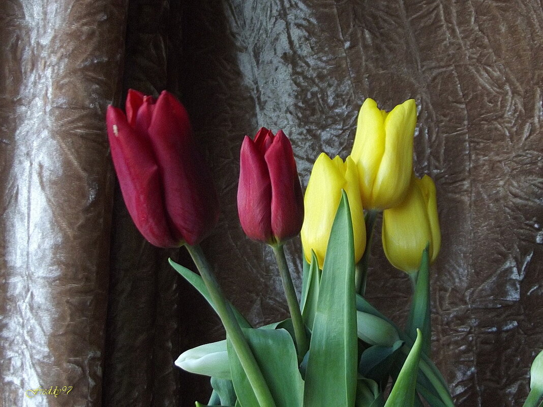 Букет - Freddy 97