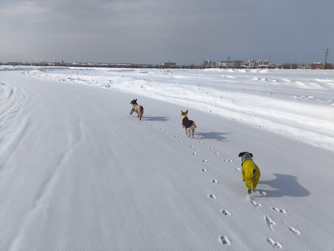 На озере - Anna Ivanova