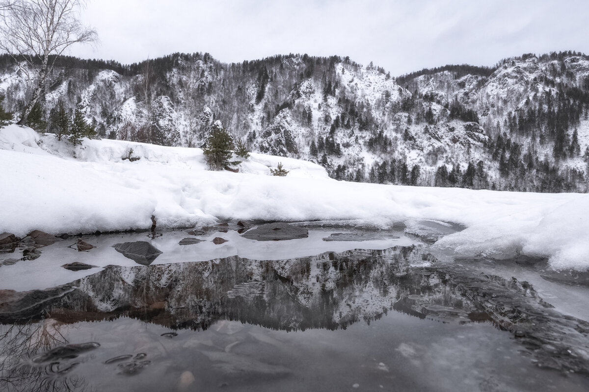 Проталина - Марина Фомина.