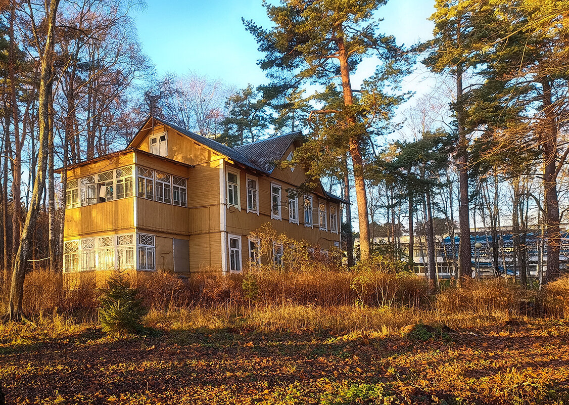 Бывший административный корпус санатория "Северная Ривьера". - Лилия *