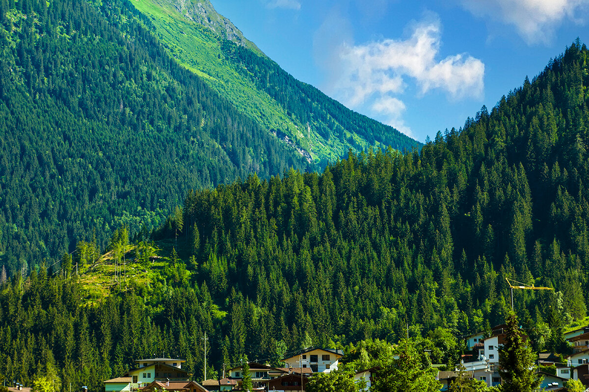 Альпийский пейзаж. - Lucy Schneider 