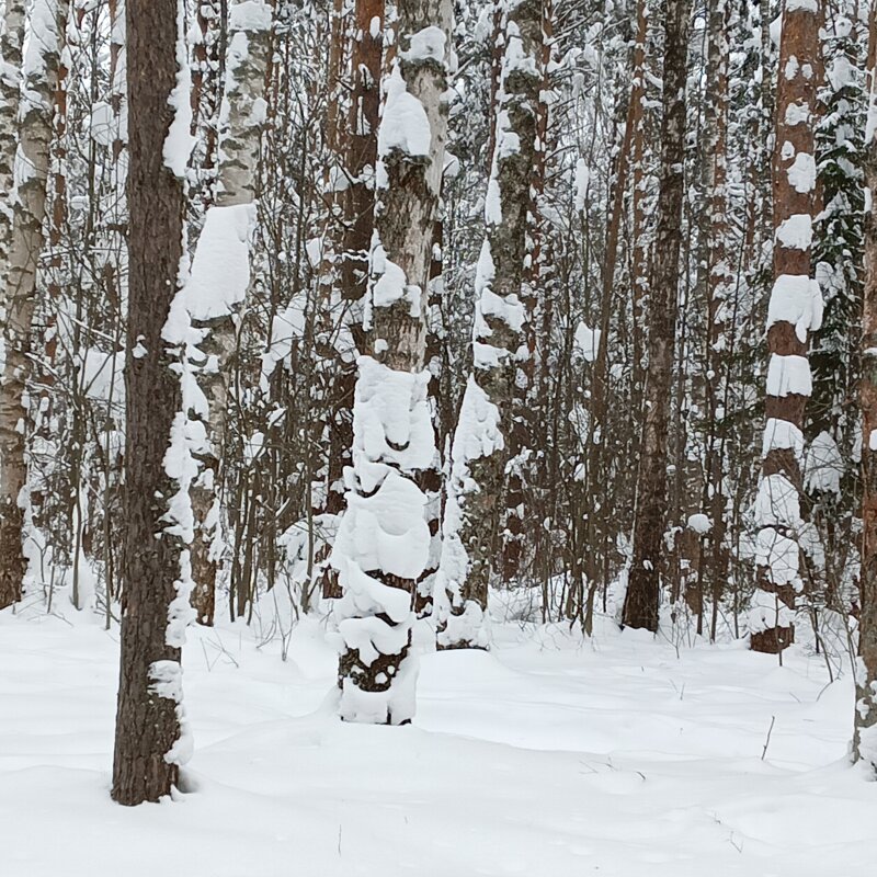 снежные фигурки - Владимир 