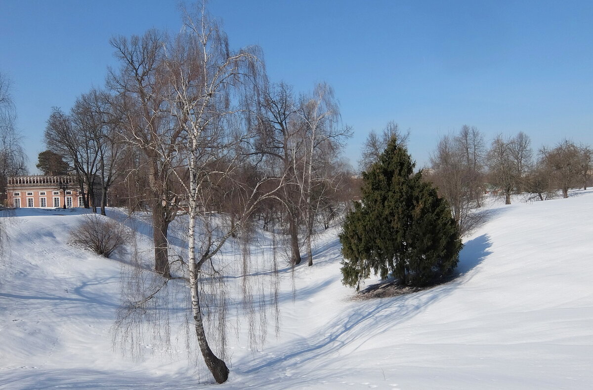 Чудесный мартовский денёк. - Люба 