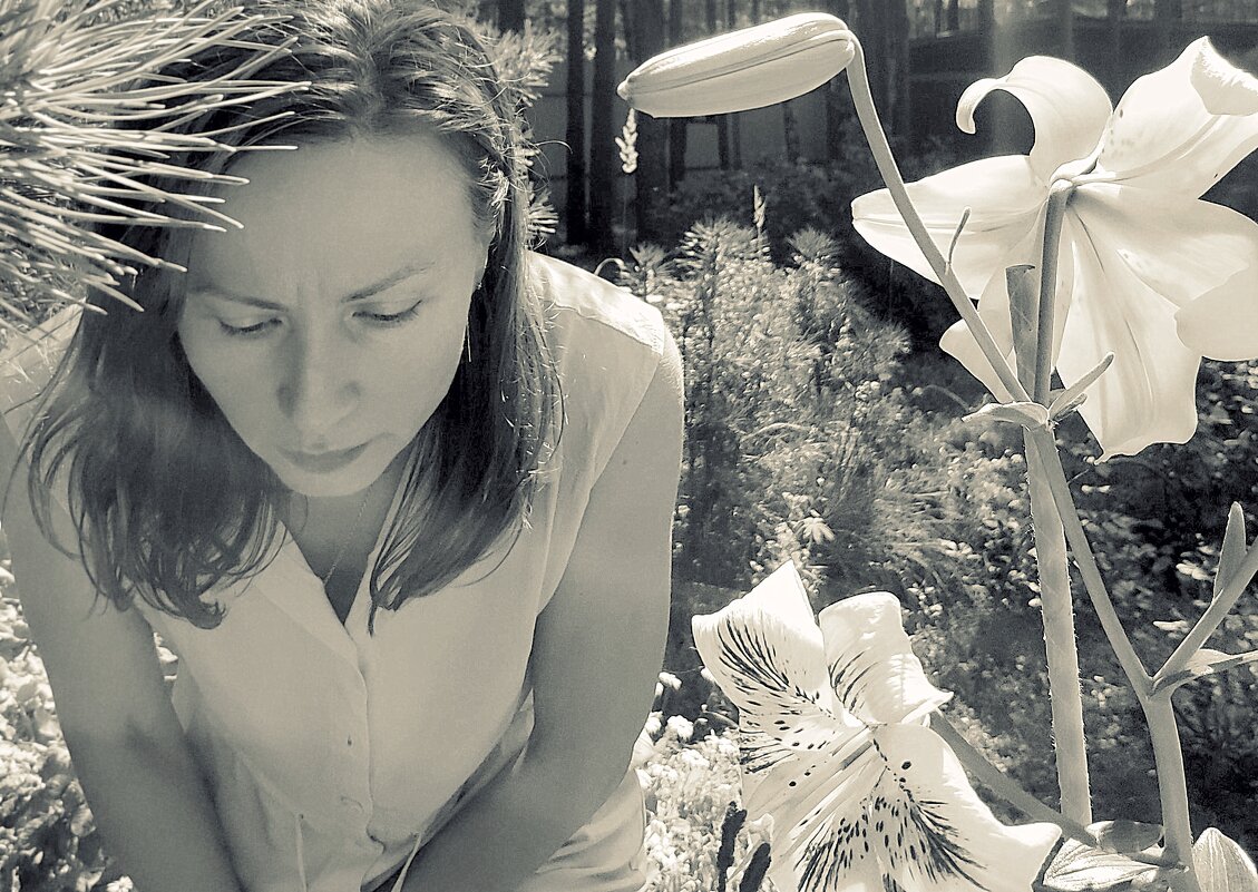 Лилии - Любовь 