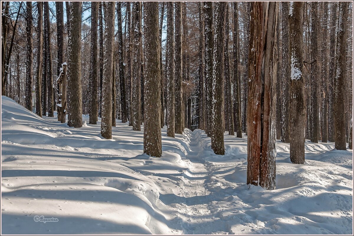 Тропка... - Aquarius - Сергей