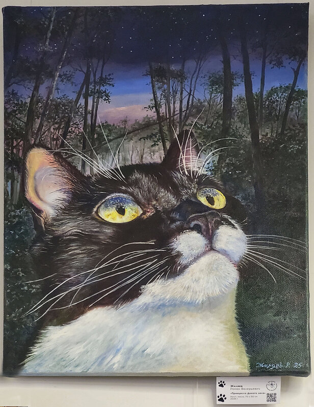 "Принцесса Дикого леса" - Татьяна Машошина