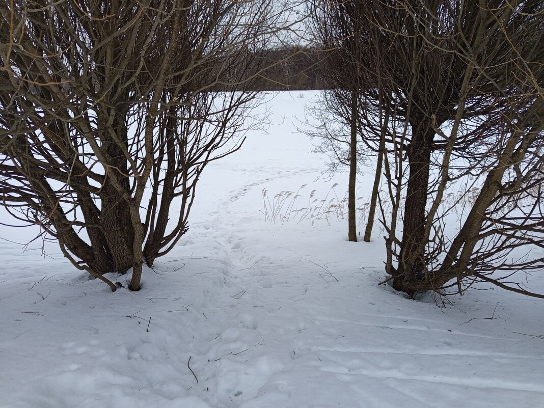 Начало марта в Измайловском парке - Андрей Лукьянов