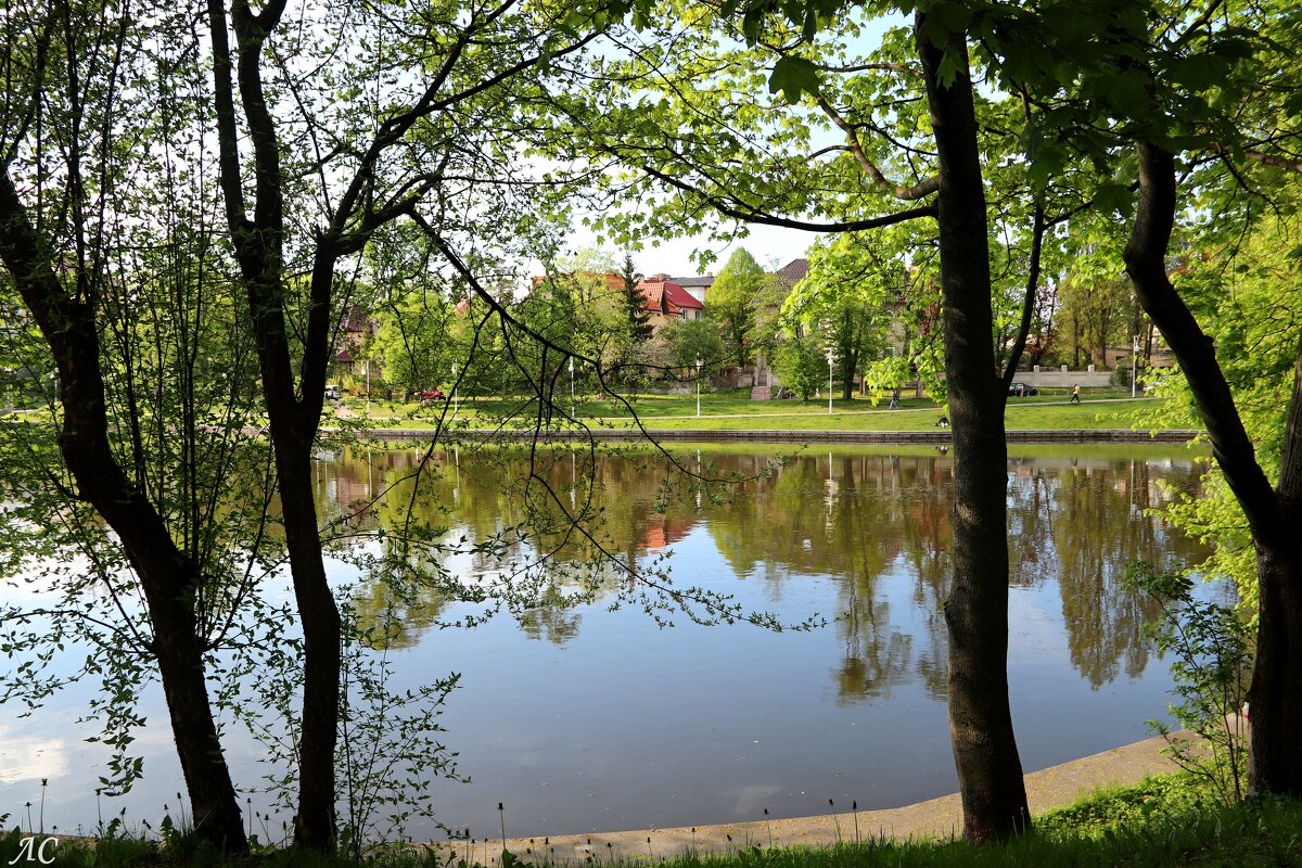 В Калининграде - Любовь Сахарова