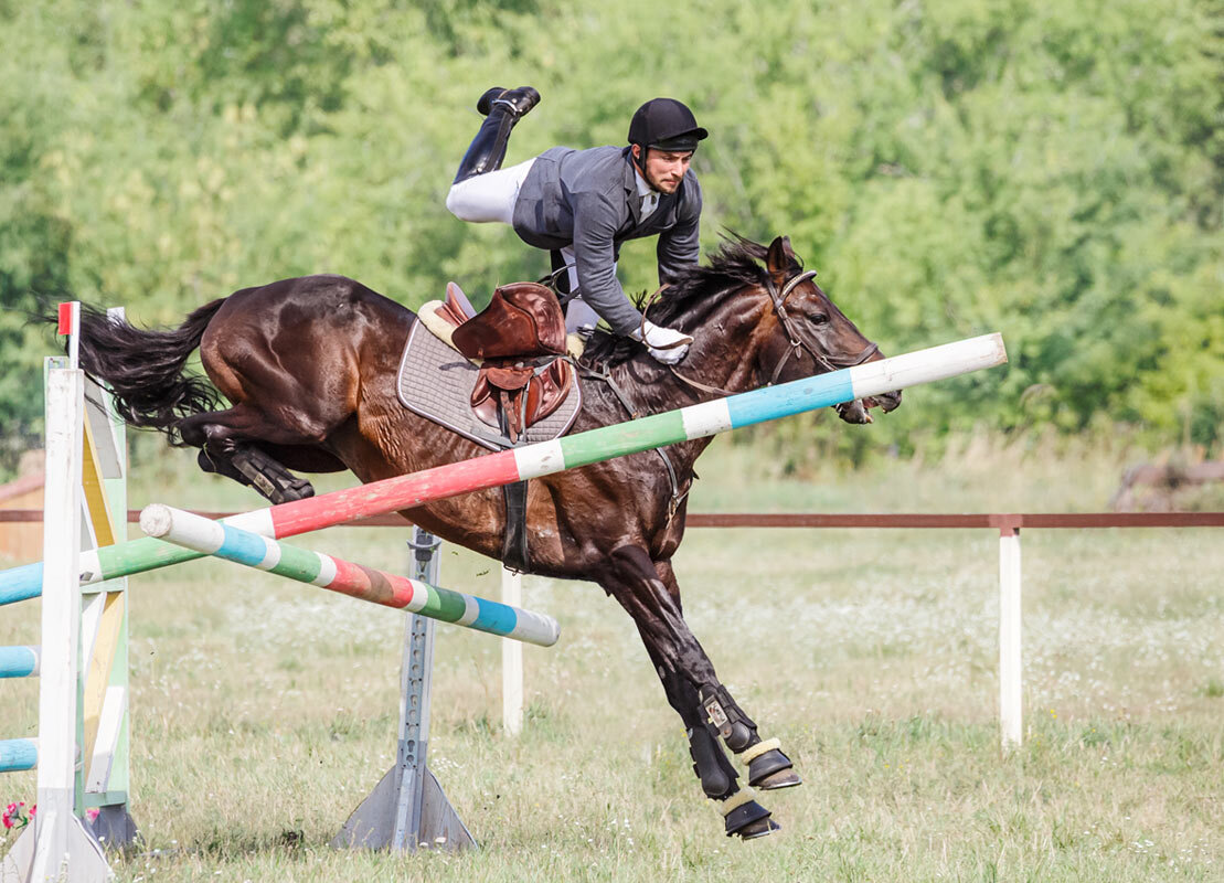 Конкур - SanSan 