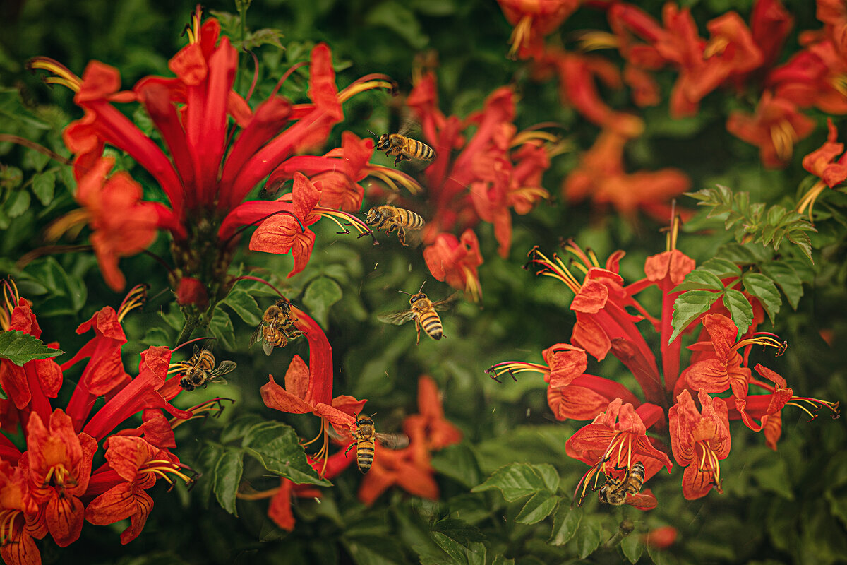 Рабочий день - Svetlana Galvez