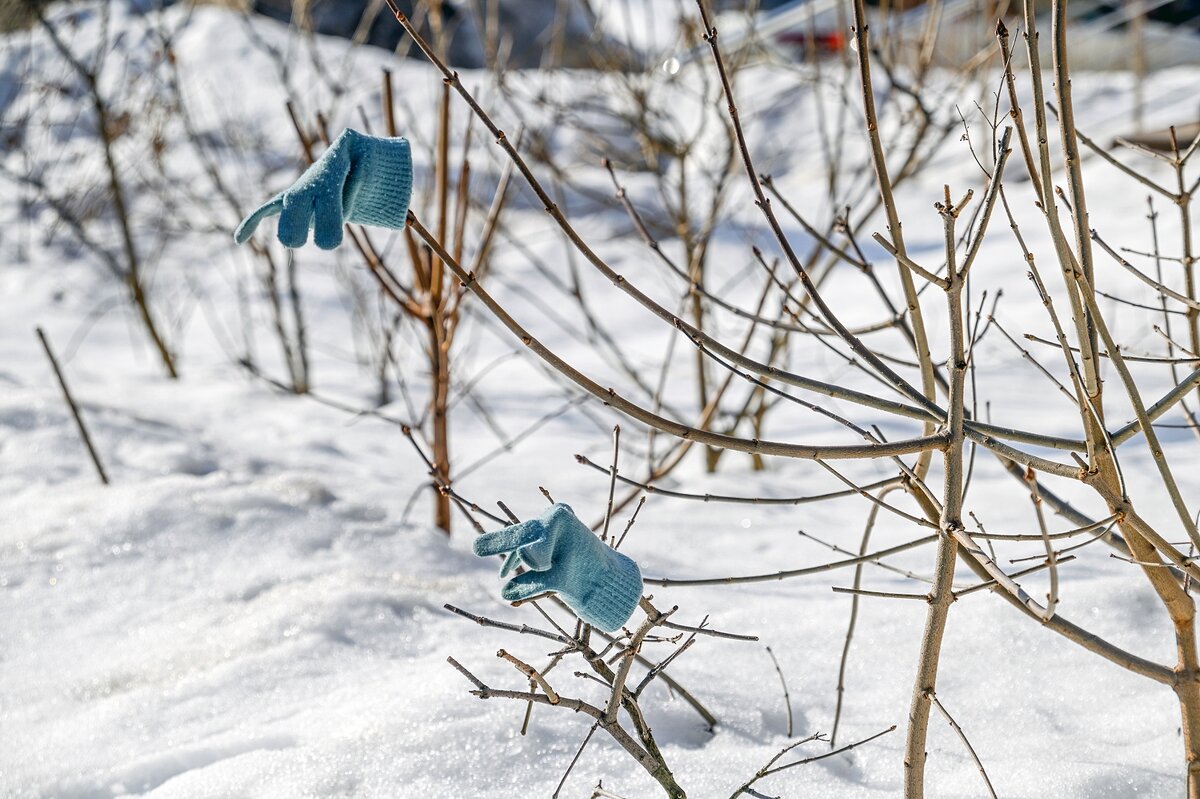 Закончилась зима - Валерий Иванович