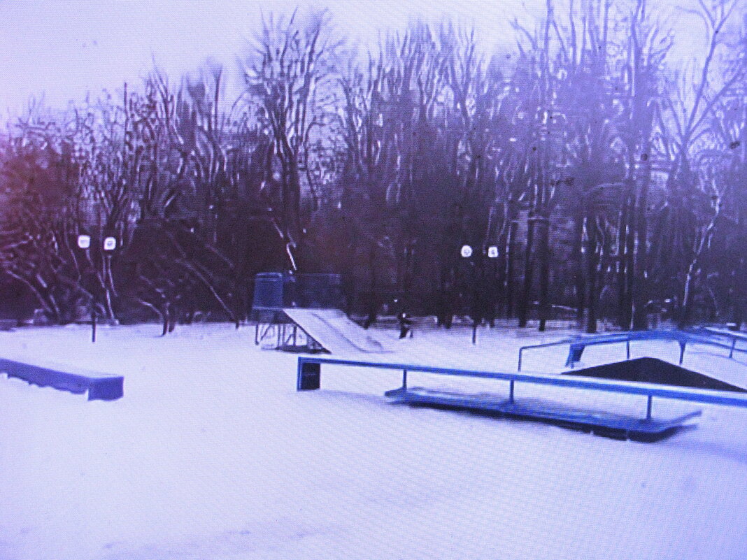 В парке - Людмила Смородинская