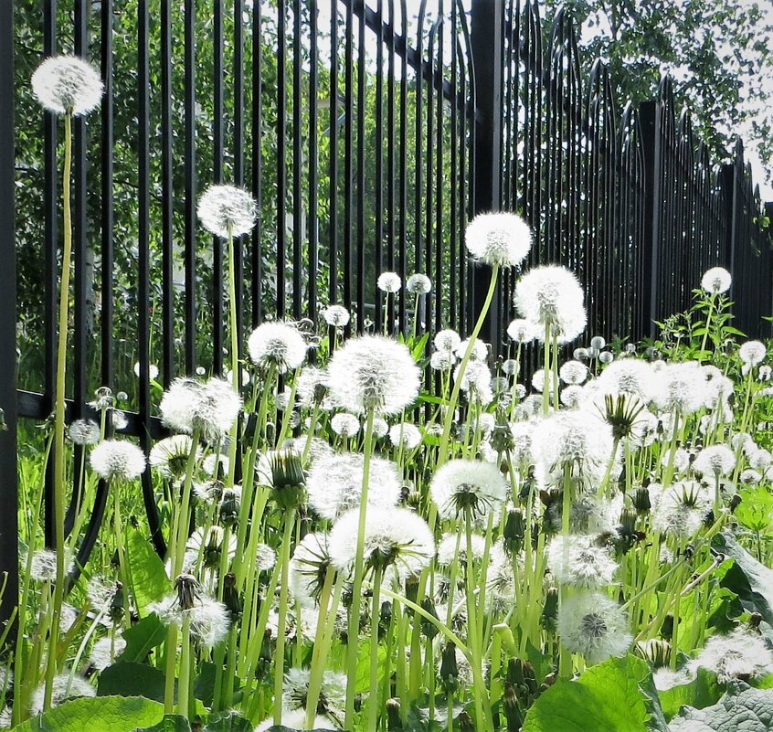 К полету готовы - Лариса С.