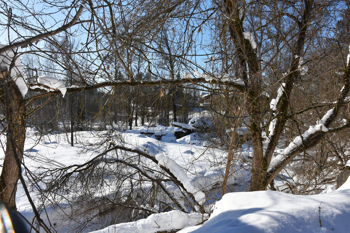Московская область. Федоскино. - Наташа *****