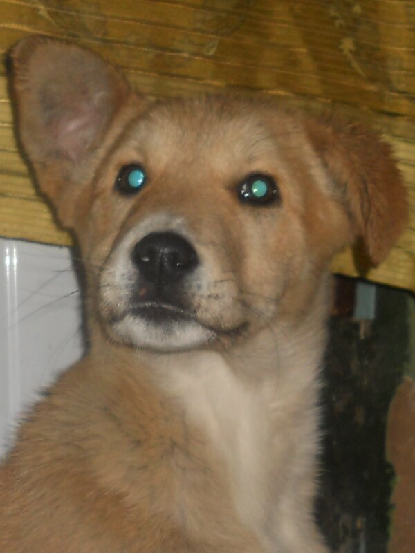 Ричи - Татьяна Иваненкова