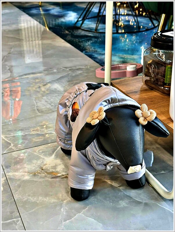 Собачка в магазине. - Валерия Комова