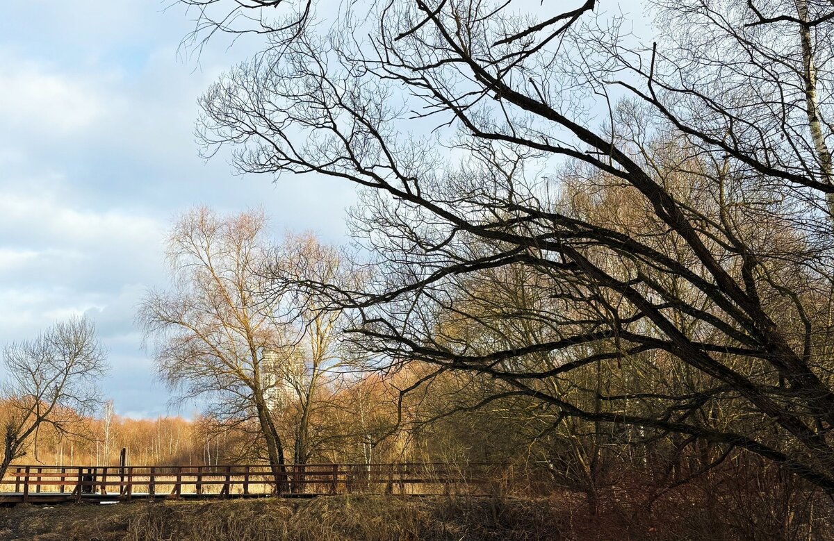 Природа просыпается - Мария - Maria