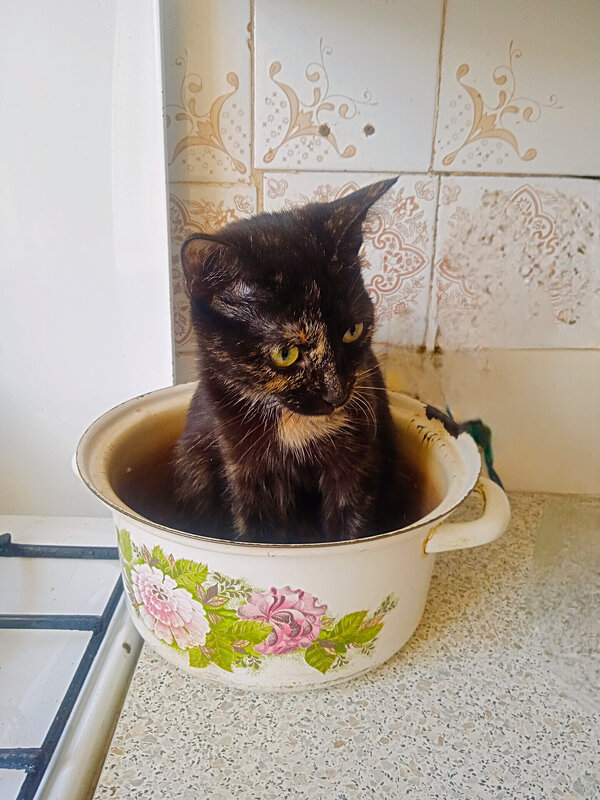 Принцэса - Сергей Кочнев