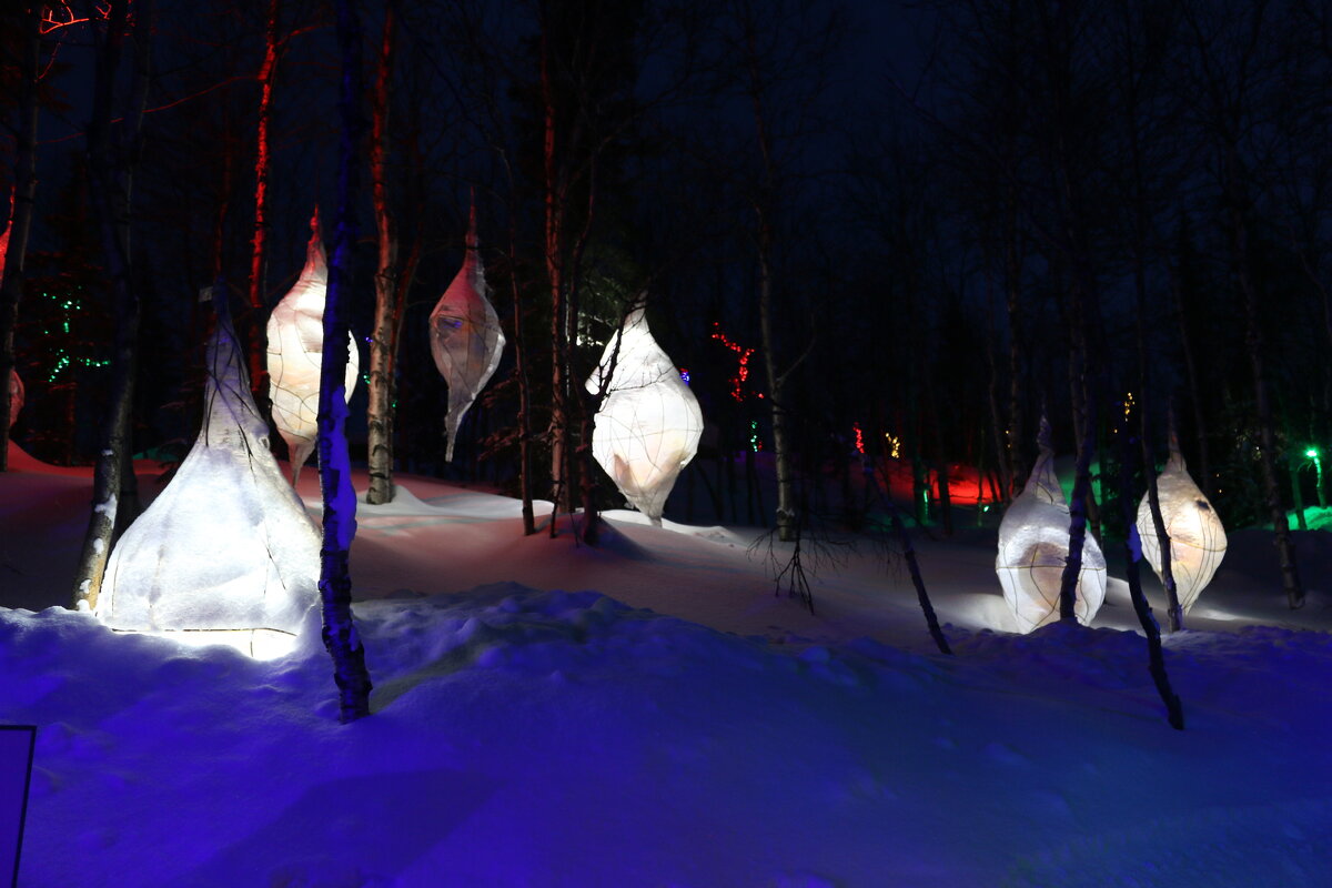 Вечер в Таинственном лесу - Ольга 