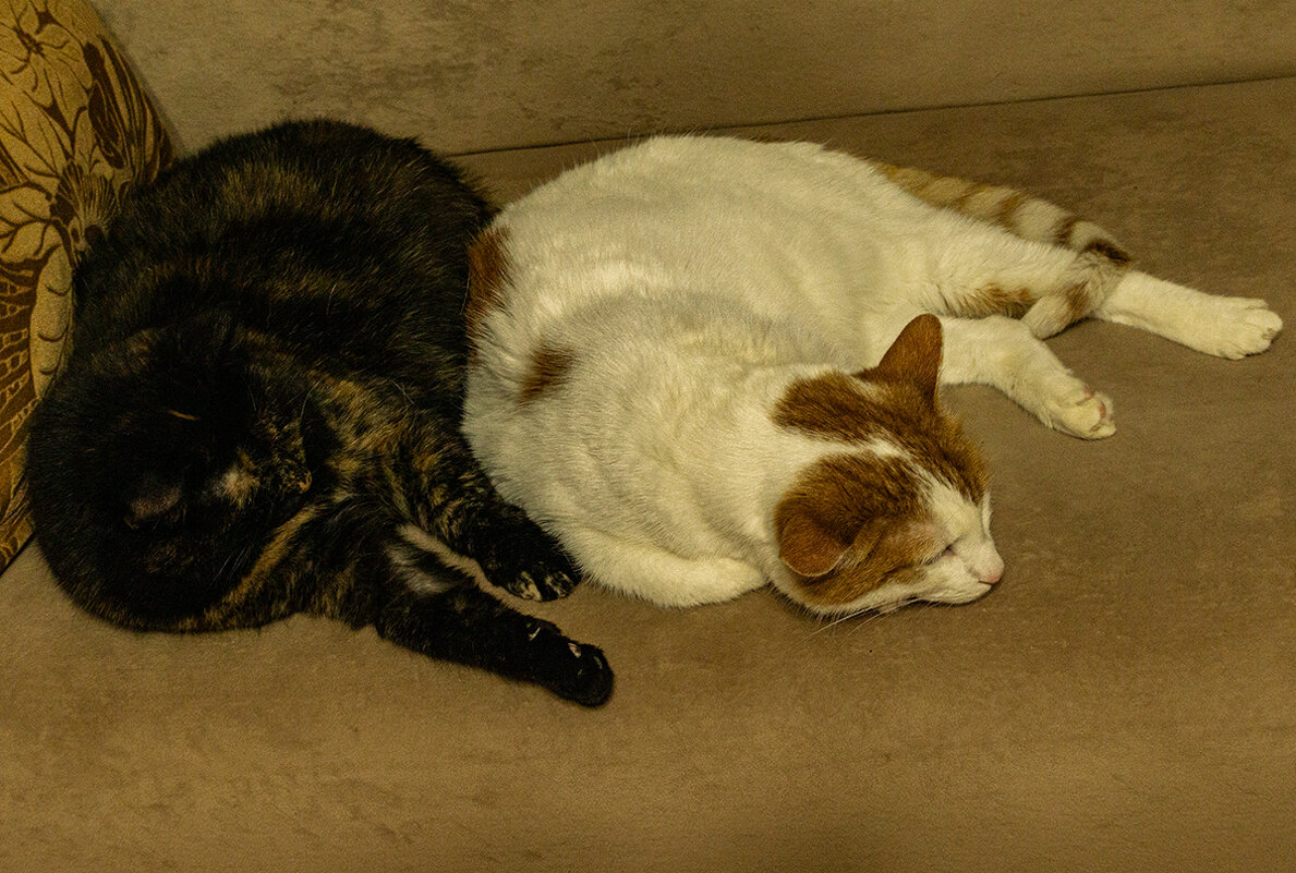 На отдыхе. - Ирина Соловьёва