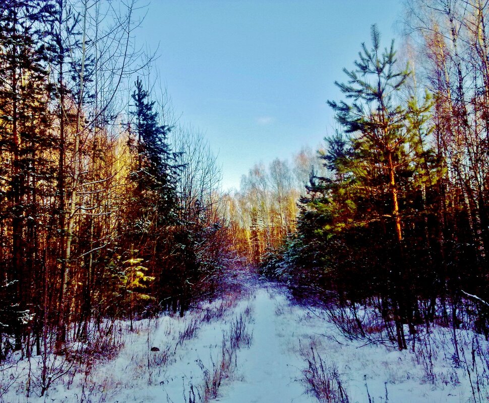 закат солнца - Владимир 