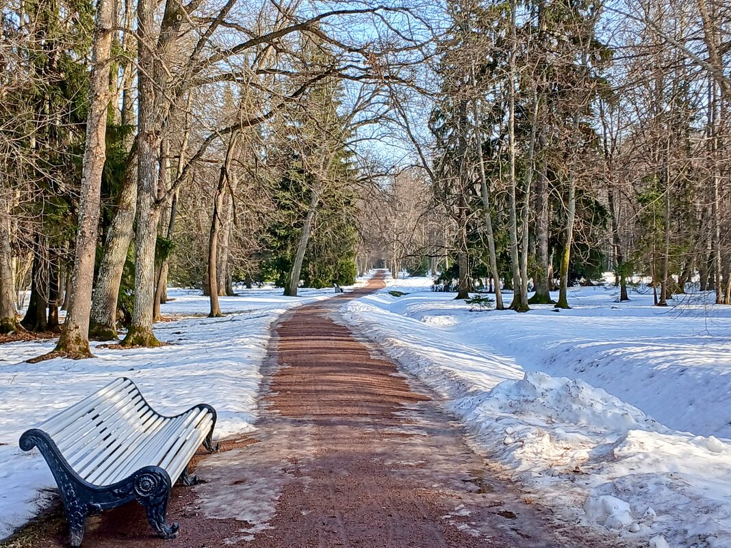 Любимые аллеи - Лия ☼