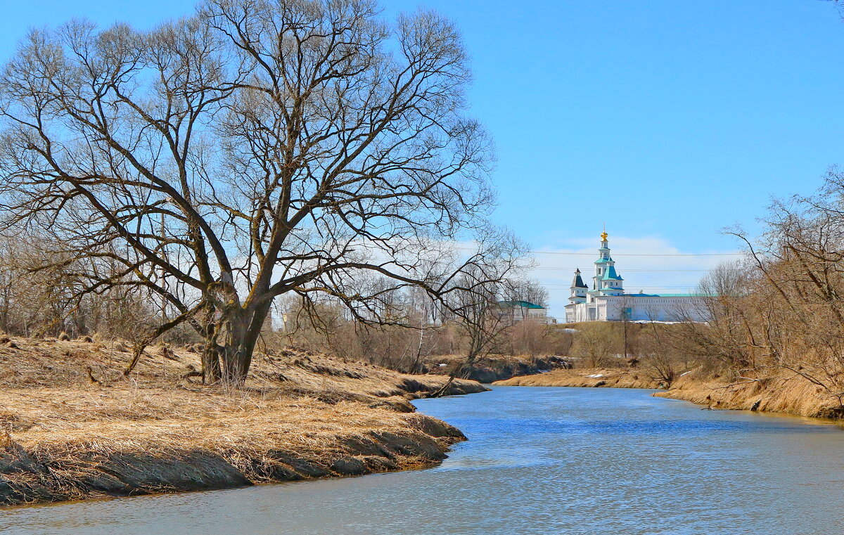 весна идет... - Andrey Bragin 