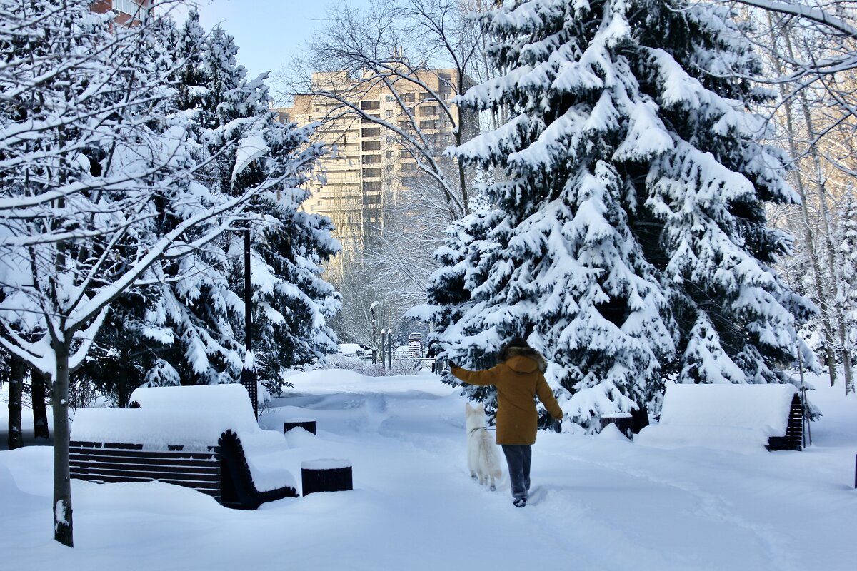 Прогулка - viktor 