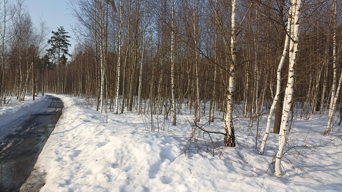 Март - Татьяна Тюменка