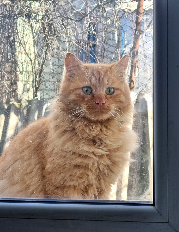 Неожиданный визит - Наталья 