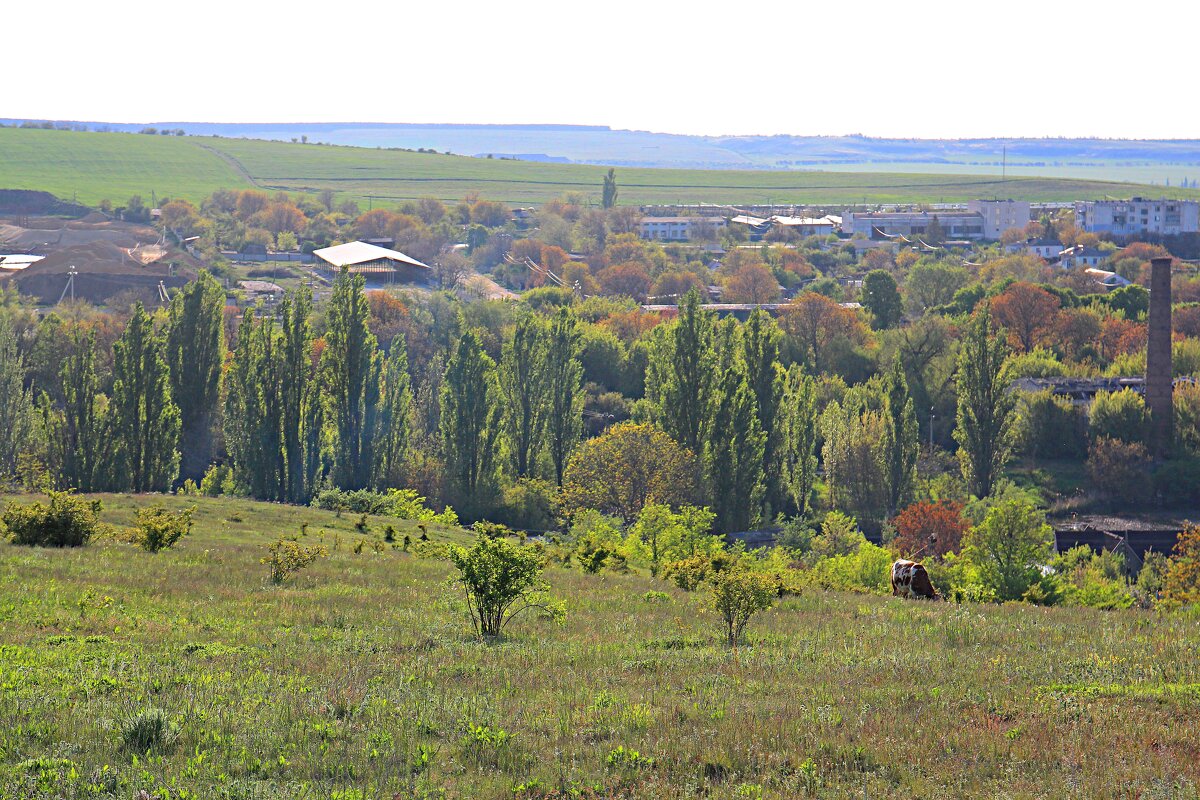 Моя малая  родина - Валентин Семчишин
