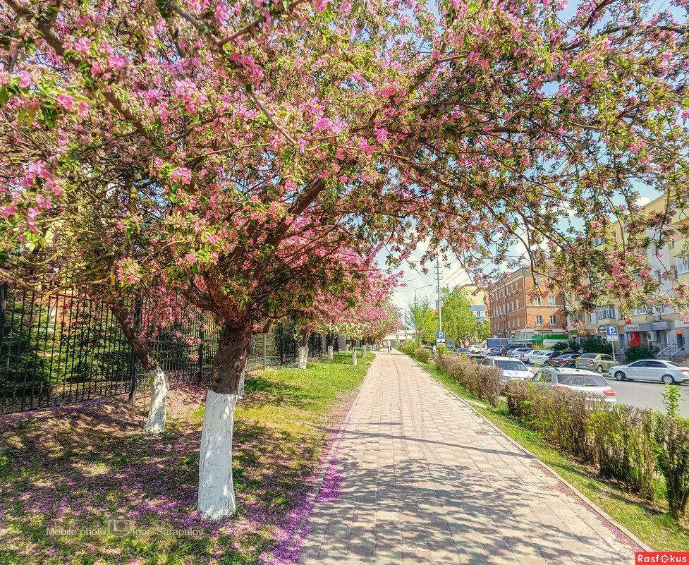 Весенний тротуар - Игорь Сарапулов