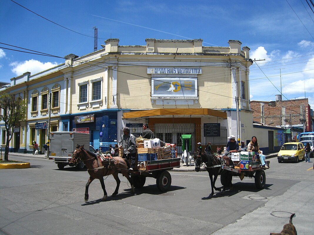 Гужевой колумбийский транспорт. - unix (Илья Утропов)