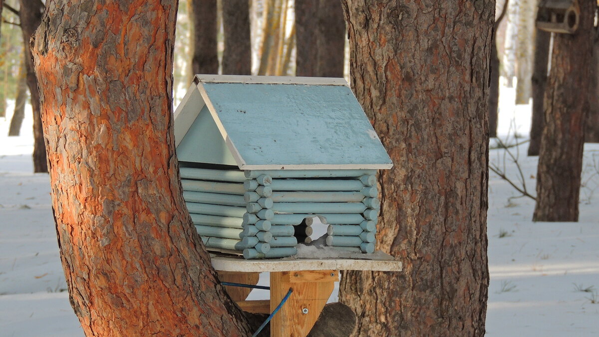 Избушка без окон и дверей . - Вик Токарев