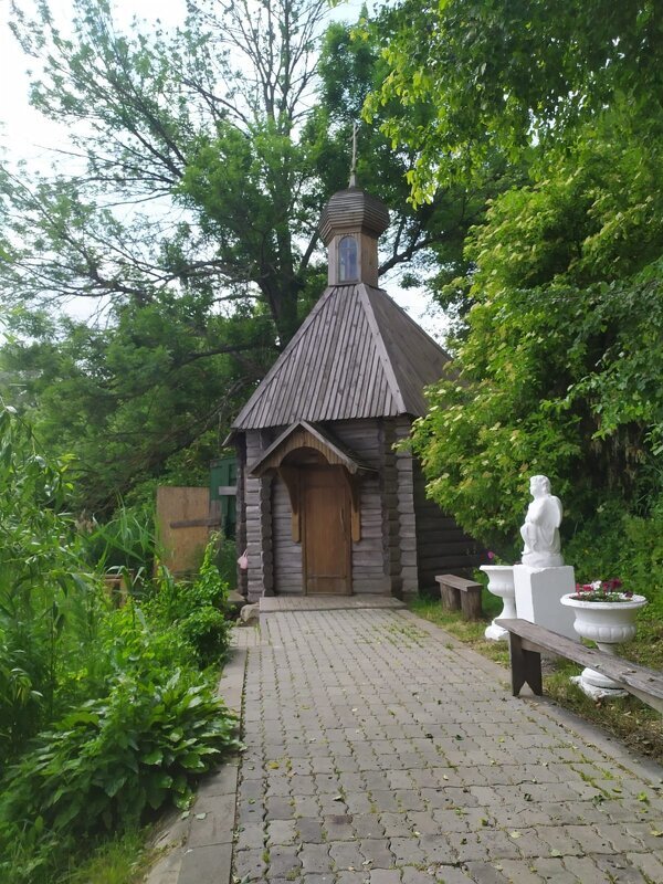 Купель - Елена Сухорученкова