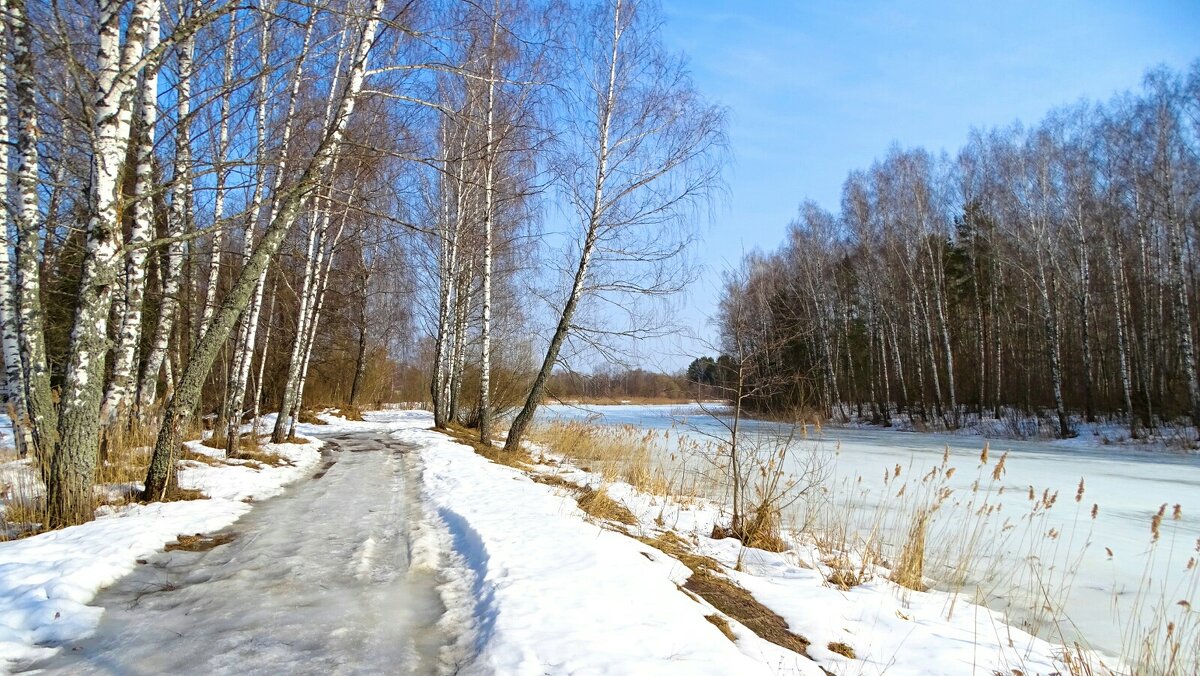 Весенний деревенский пейзаж. - Милешкин Владимир Алексеевич 
