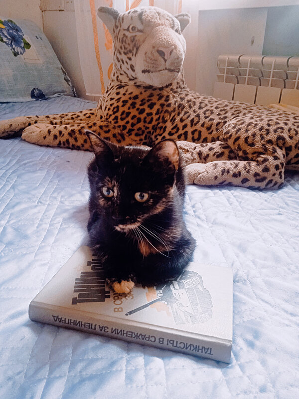 Принцэса - Сергей Кочнев